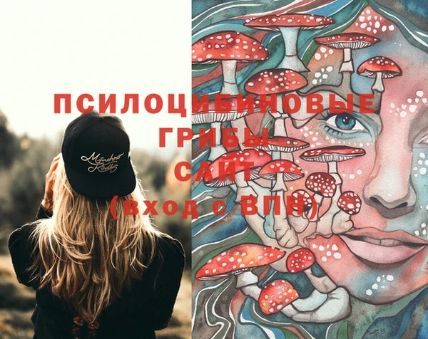 МДПВ Лагань
