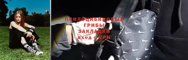 МДПВ Лагань