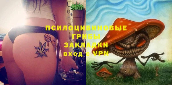 МДПВ Лагань