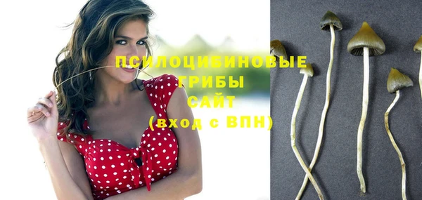 МДПВ Лагань