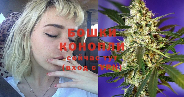 2c-b Лабытнанги